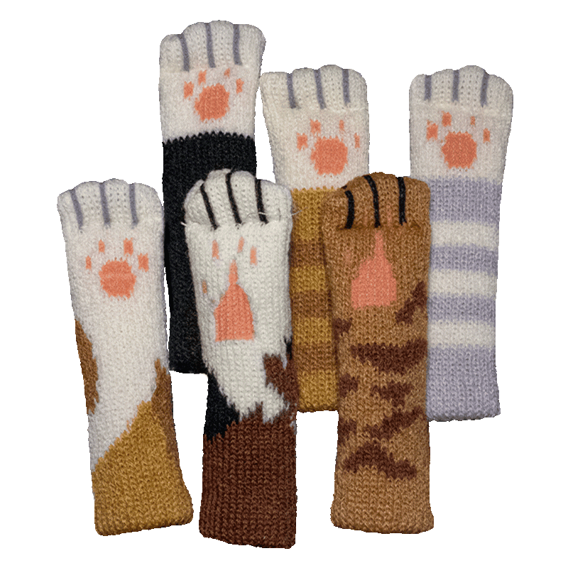 Fish & Katz Katzenpfoten