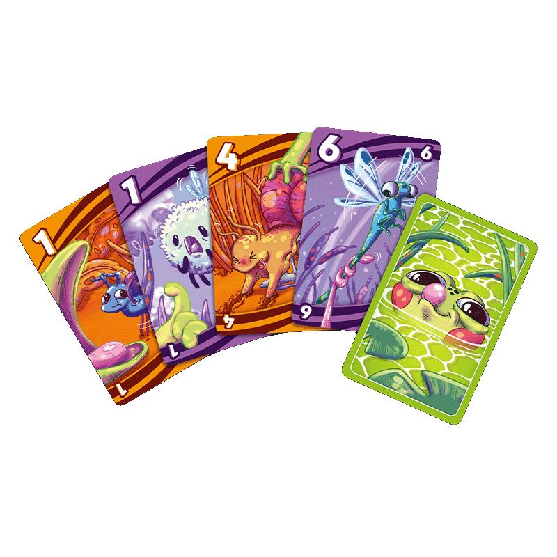 Snatch it! Kartenfächer